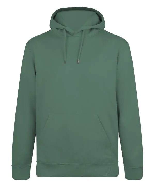 Unisex Sage Green Organic Cotton Pullover Hoodie - Adult